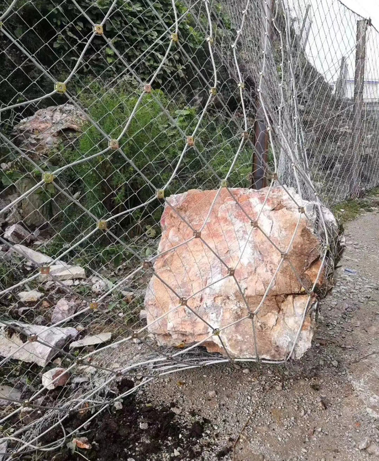 菱形被动防护网