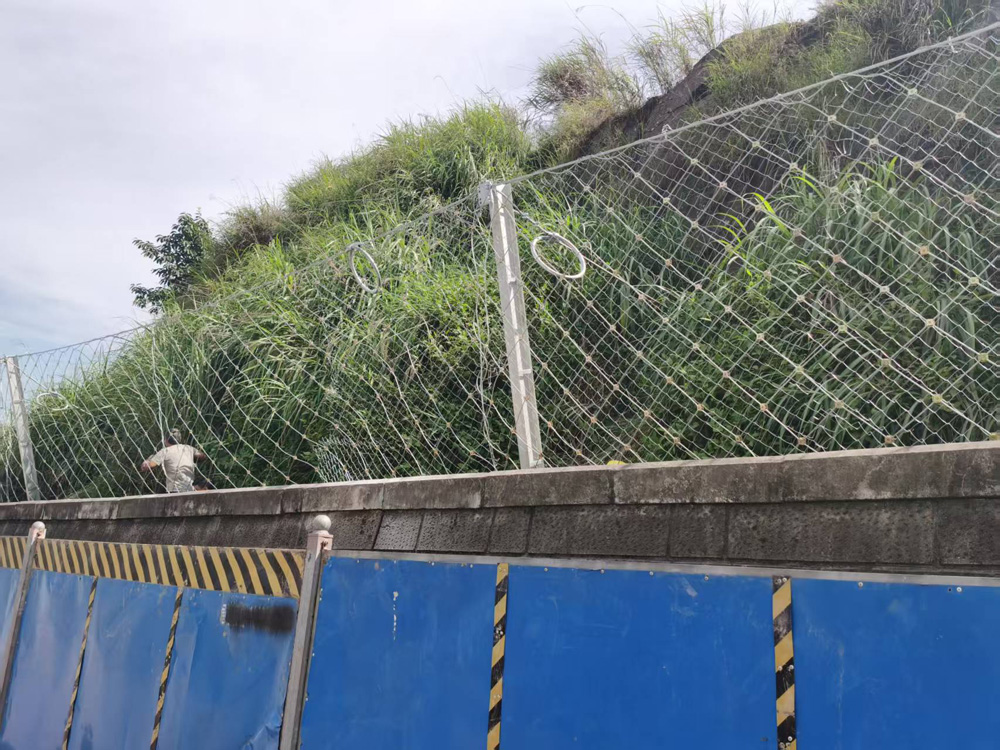 菱形被动防护网